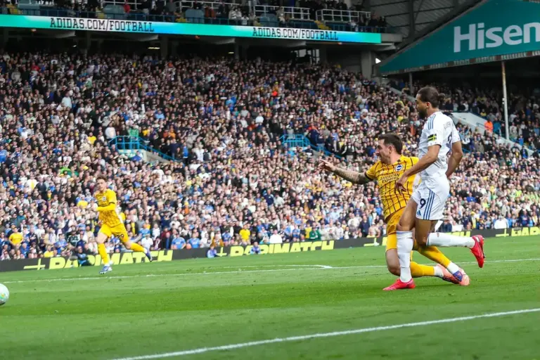 Leeds United hold Brighton to extend unbeaten start